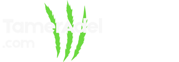 Tameradel.com